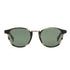 Otis Sunglasses A Day Late