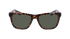 Dragon Sunglasses Bishop