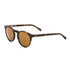 Otis Sunglasses Omar
