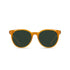 RAEN Optics Norie