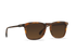 RAEN Optics Wiley 54