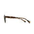 RAEN Optics Clyve