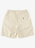 Quiksilver Waterman Mens Shorts Last Light Elasticized 19