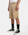 RVCA Mens Shorts Americana 22