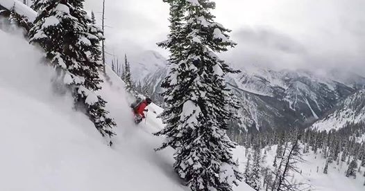 Stellar Heliskiing Visits San Diego