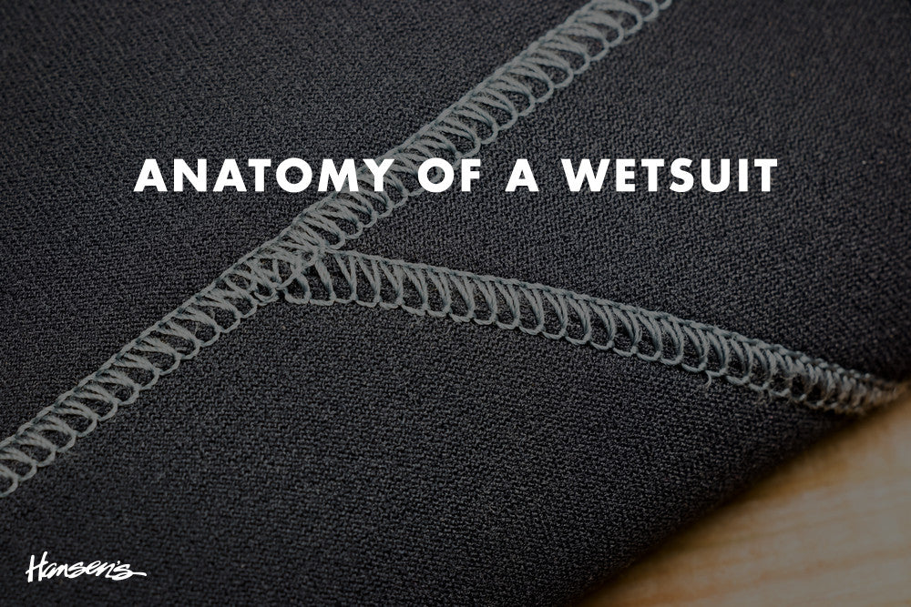 Anatomy Of A Wetsuit - Finding The Right Wetsuit