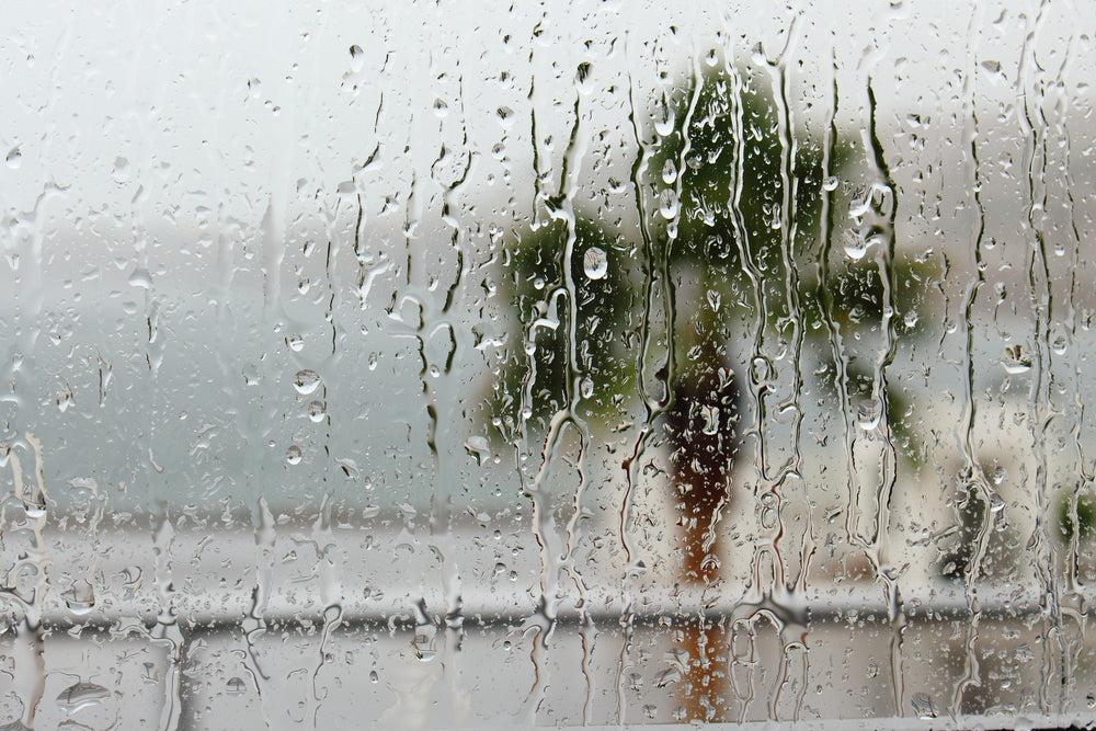 Rainy Day Activities