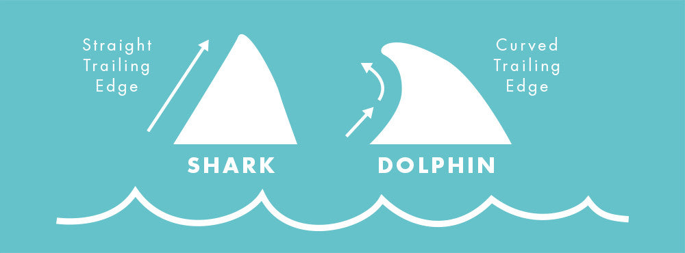 Shark Safety