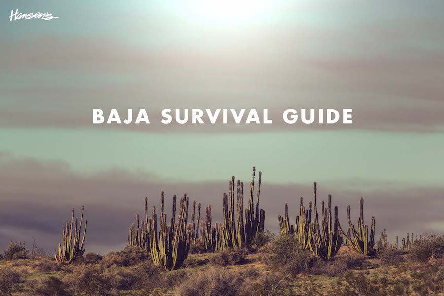 Baja Survival Guide