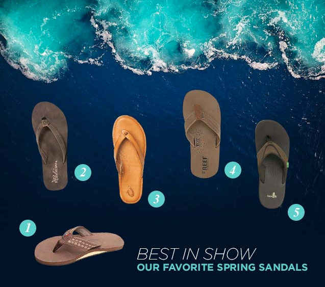 Best in Show, Our 5 Favorite Sandals For Spring