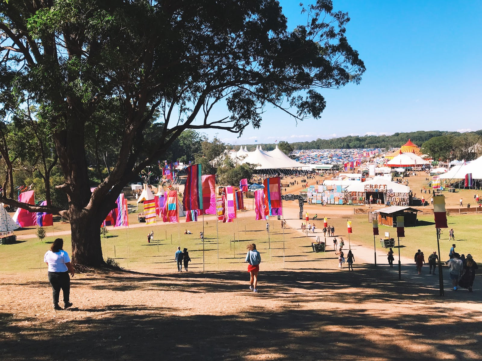 Splendour in the Grass