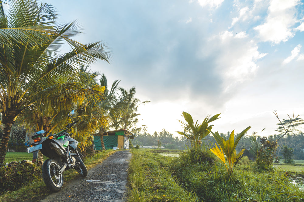 Choose Your Own Surf Adventure: Safety Concerns