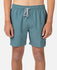 Rip Curl Mens Boardshorts Daily 16