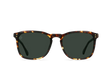 RAEN Optics Wiley 54