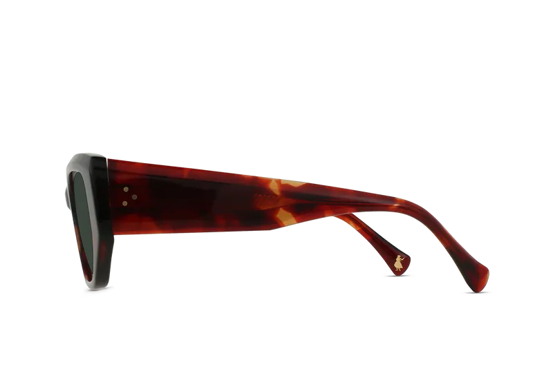 RAEN Sunglasses Ynez