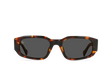 RAEN Sunglasses Zamani