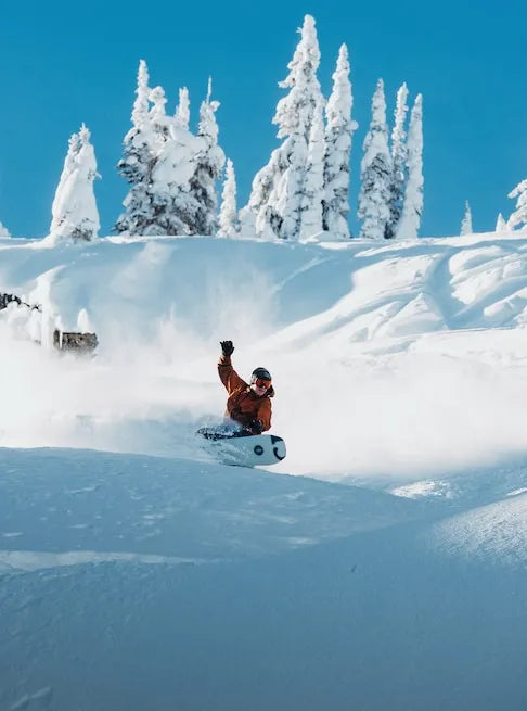 Burton Mens Snowboard Burton Family Tree Hometown Hero Camber