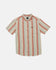 RVCA Mens Woven Alvarado Stripe