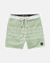 RVCA Mens Boardshorts County Line 18