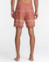 RVCA Mens Boardshorts Exotica 17
