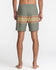 RVCA Mens Boardshorts Exotica 17