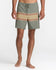 RVCA Mens Boardshorts Exotica 17