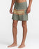 RVCA Mens Boardshorts Exotica 17