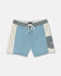 RVCA Mens Boardshorts Last Days 17