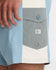 RVCA Mens Boardshorts Last Days 17