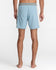 RVCA Mens Boardshorts Last Days 17