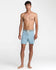 RVCA Mens Boardshorts Last Days 17