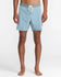 RVCA Mens Boardshorts Last Days 17
