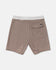 RVCA Mens Boardshorts VA Print
