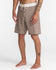 RVCA Mens Boardshorts VA Print