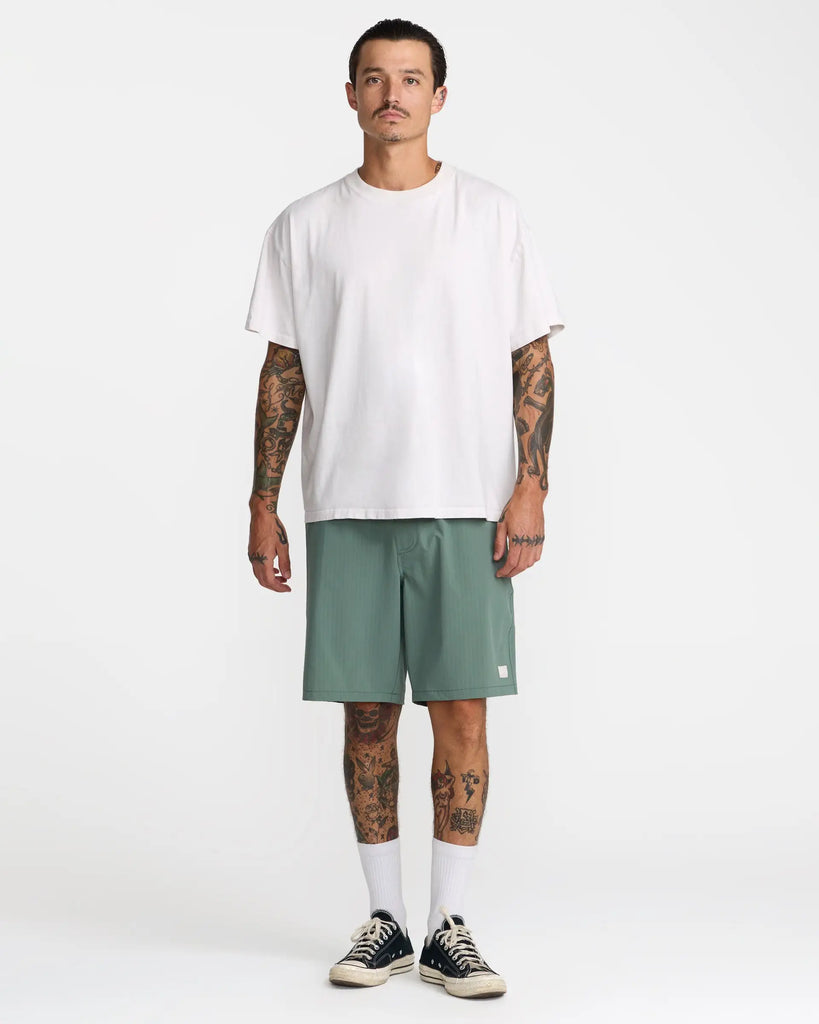 RVCA Mens Shorts VAcancy Ghost Stripe 19