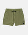 RVCA Mens Shorts VA Pigment Elastic Short 16