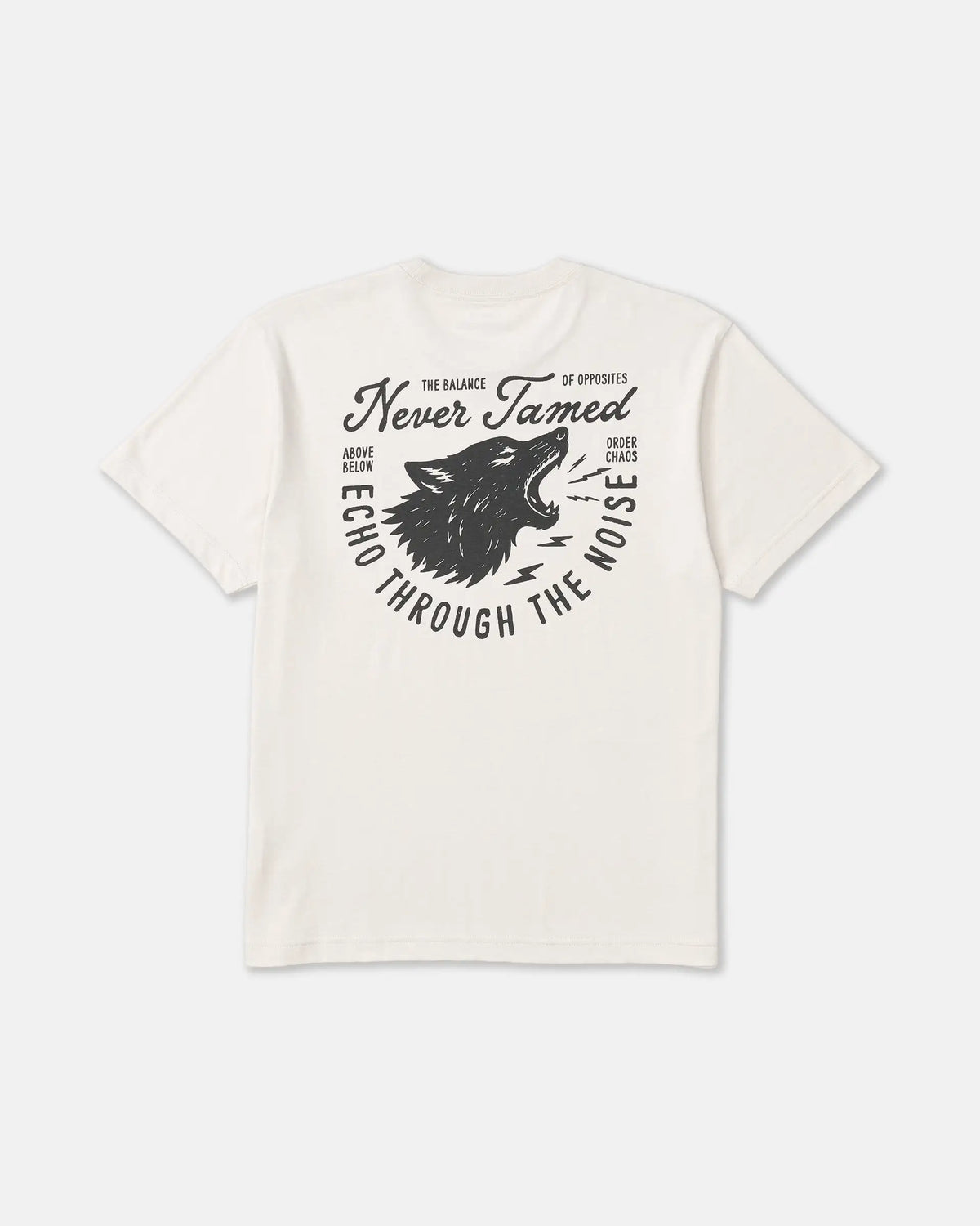 RVCA Mens Shirt Echo