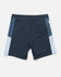 Salty Crew Mens Boardshorts Flagship