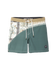 Dark Seas Mens Boardshorts Aliso 18