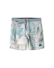Dark Seas Mens Boardshorts Sennit