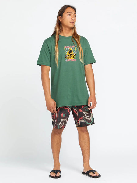Volcom Mens Boardshorts Warped Stoney