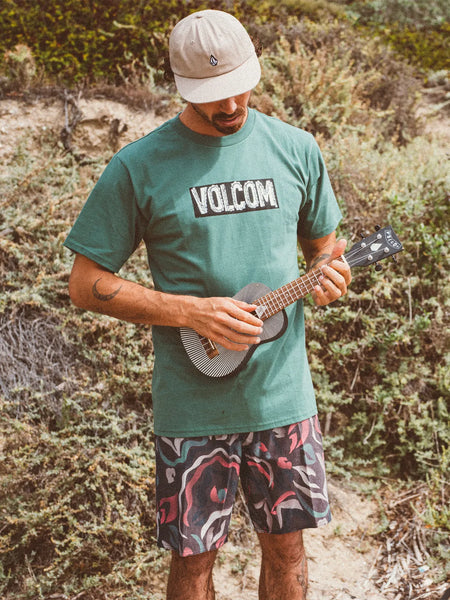 Volcom Mens Boardshorts Warped Stoney