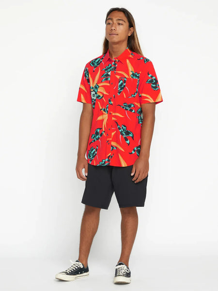 Volcom Mens Shorts Frickin Cross Shred