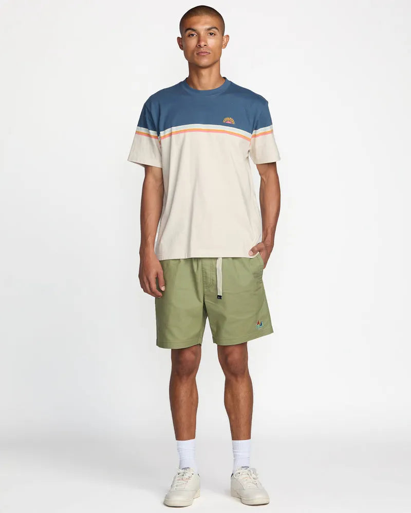 RVCA Mens Shorts Civic Range 17