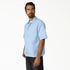 Dickies Mens Woven Venedocia Striped
