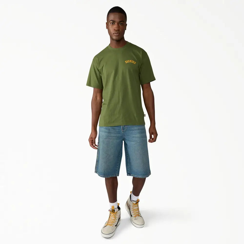 Dickies Mens Shorts 958 13