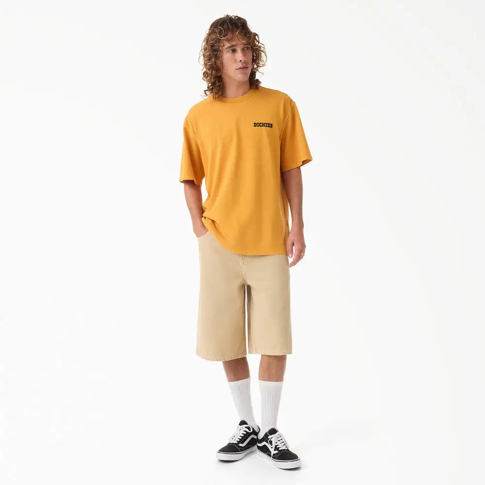 Dickies Mens Shorts 958 13
