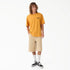 Dickies Mens Shorts 958 13