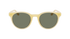Dragon Sunglasses Koby