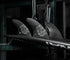 Futures Surfboard Fins Vector 3/2 Alpha Thruster (L)